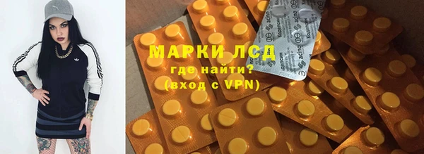 ПСИЛОЦИБИНОВЫЕ ГРИБЫ Алзамай