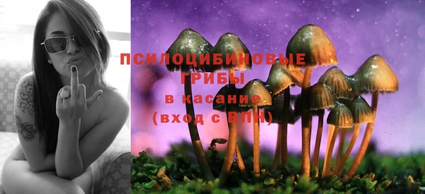 ПСИЛОЦИБИНОВЫЕ ГРИБЫ Алзамай