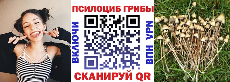 Галлюциногенные грибы GOLDEN TEACHER  Биробиджан 